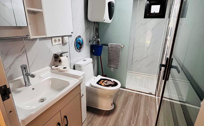 Ferienhaus 200 (Dusche / WC)