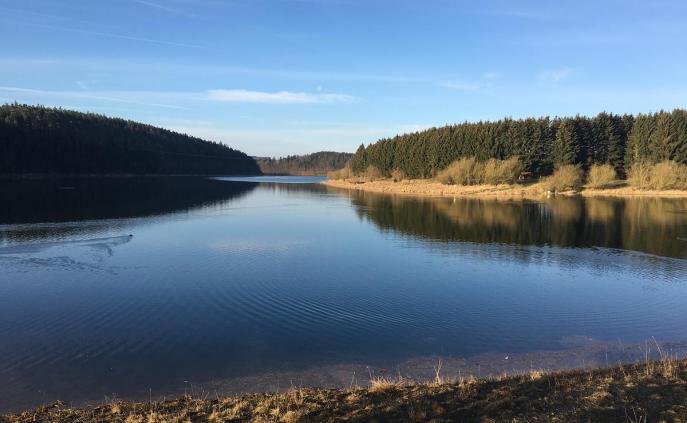 Idylle an der Talsperre Zeulenroda