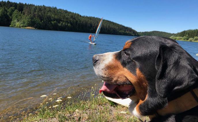 Segeln auf der Talsperre Zeulenroda